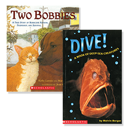 Books: "Two Bobbies" and "Dive!"