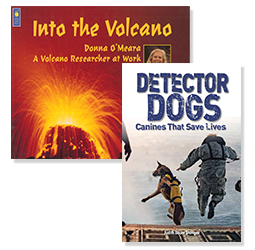 Books: "Into the Volcano" and "Detector Dogs"