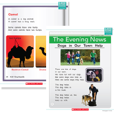 Example Sheets: "Camel" and "The Evening News"