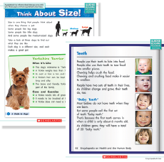 Example Sheets: "Think About Size" and "Teeth"