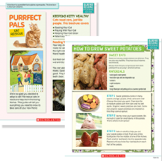 Example Sheets: "Purrfect Pals" and "How to Grow Sweet Potatoes"