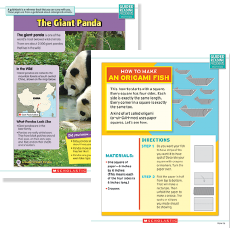 Example Sheets: "The Giant Panda" and "An Origami Fish"